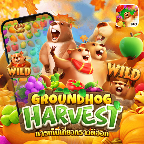 pgslotline Groundhog Harvest